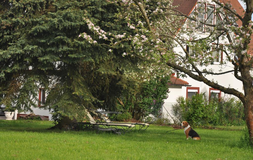 Haeuser Der Villa Italia Marktheidenfeld Exteriér fotografie